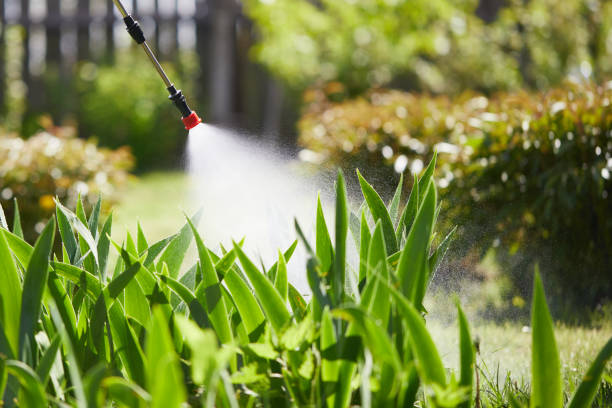 24/7 Emergency Mosquito Control experts in Wendover, UT